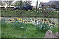 Pond by Brick Kiln Lane, Rickling