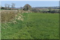 Field edge from stile beside Bream Road