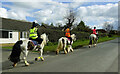 Riding through Wetheral Pasture