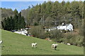 Houses on hillside at Pastor?s Hill