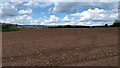 Large field alongside the road to Beachley