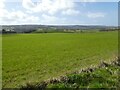 Pasture, south of Butcombe Farm