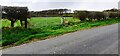 Field gateway on west side of minor road to Batenbush