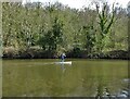 Paddle boarder on The River Don