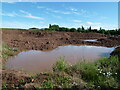 Sand pit by the brick works, Hartlebury