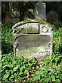 NY9365 : The Church of St John of Beverley, St John Lee - 18th C gravestone by Mike Quinn