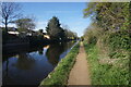 Grand Union Canal towards bridge #203