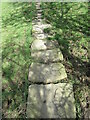 Stone trod near Egton 3