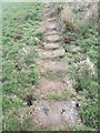 Stone trod near Westonby Farm 2