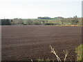 Prepared field near Waulkmill