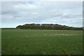 Towards Northfield Farm