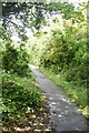 Footpath to Friston