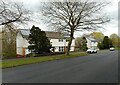 Houses on Acre Road