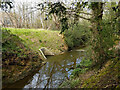 Drain entering Ifield Brook