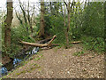 Natural bridge over Ifield Mill Stream