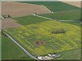 Part of Medieval settlement of Withern: aerial, April 2022 (2)