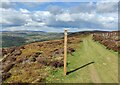 SO4090 : The Port Way at Handless on the Long Mynd by Mat Fascione