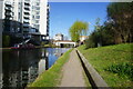 Grand Union Canal towards bridge #200