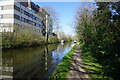 Grand Union Canal towards bridge #199