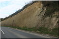 Chalk embankment on Newport Road, Saffron Walden