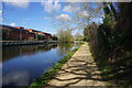 Grand Union Canal towards bridge #198