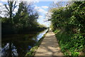 Grand Union Canal towards bridge #196