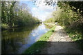 Grand Union Canal towards bridge #194