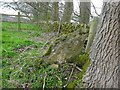 Stone Stile, Painswick