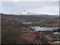 Duartmore Forest from A894 viewpoint