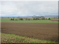 Cultivated field next to the A94