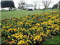 Flower bed and shelter at Southend