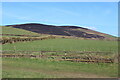 Roadside field by Parcylleine on A478