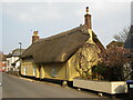 Wilton - Thatched House