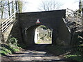 ST6249 : Tellis Lane bridge by Neil Owen