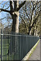 Fence and trees along the edge of Deptford Park