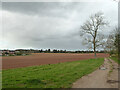 Field from Harvington Hall Lane