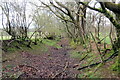 Hen heol ger Gwernyfed / Old road near Gwernyfed