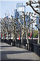 Pollarded trees on former Lavender Wharf