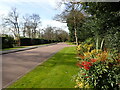 TQ1593 : Mansion House Drive, Bentley Priory by Marathon