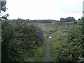 Footpath through Portrack Marshes