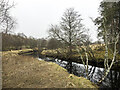 NO0363 : Brerachan Water flowing downstream by Trevor Littlewood