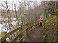 Path by Loch Faskally