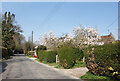 SP8800 : Blossom beside Nairdwood Lane by Des Blenkinsopp