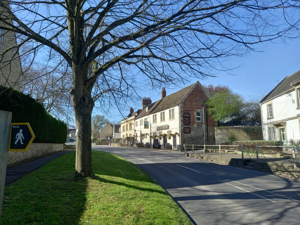 The Old Ham Tree, Holt © Bikeboy :: Geograph Britain and Ireland