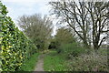 Bridleway off Elm Lane