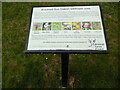 Wildflower Information Board at Bracknell Bus Station