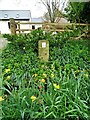 Site of "The Plague Well", Burghwallis