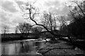 The River Calder, Brighouse