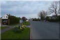 Daffodils along Deighton Road