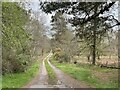 Footpath towards Bird